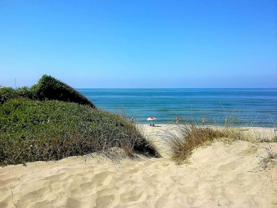 Sea Of Rome - Holiday Home Lido di Ostia Zewnętrze zdjęcie